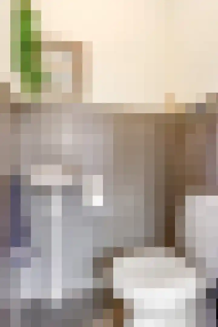 Franciscusstraat 85 Bemmel thumbnail 13