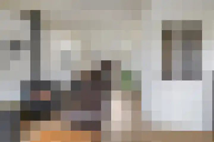 Franciscusstraat 85 Bemmel thumbnail 20