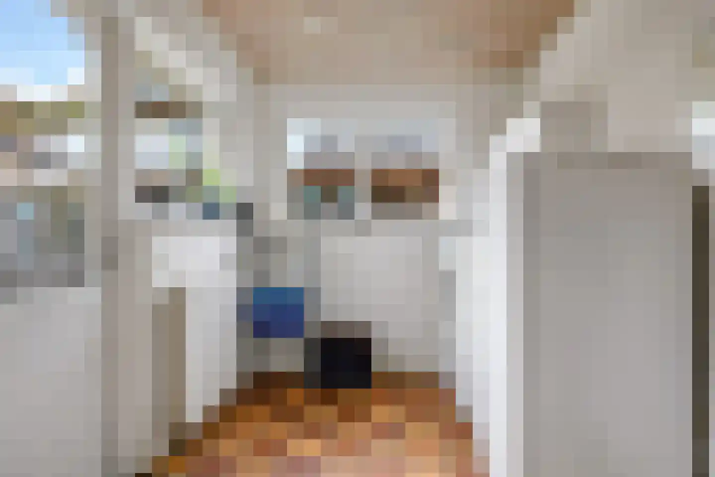 Franciscusstraat 85 Bemmel thumbnail 33
