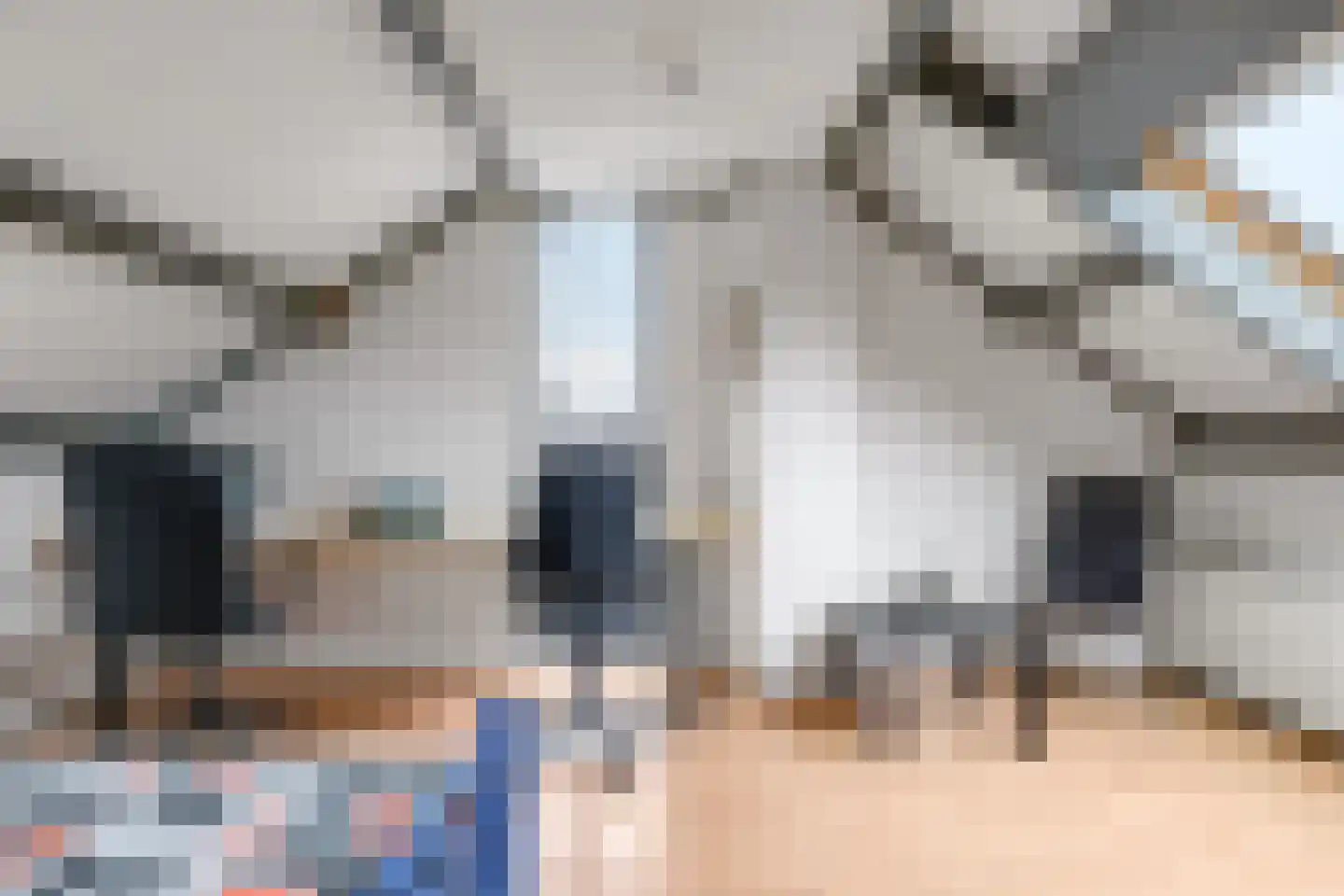 Franciscusstraat 85 Bemmel thumbnail 66