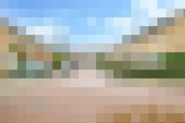 Franciscusstraat 85 Bemmel thumbnail 74