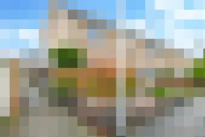 Franciscusstraat 85 Bemmel thumbnail 78