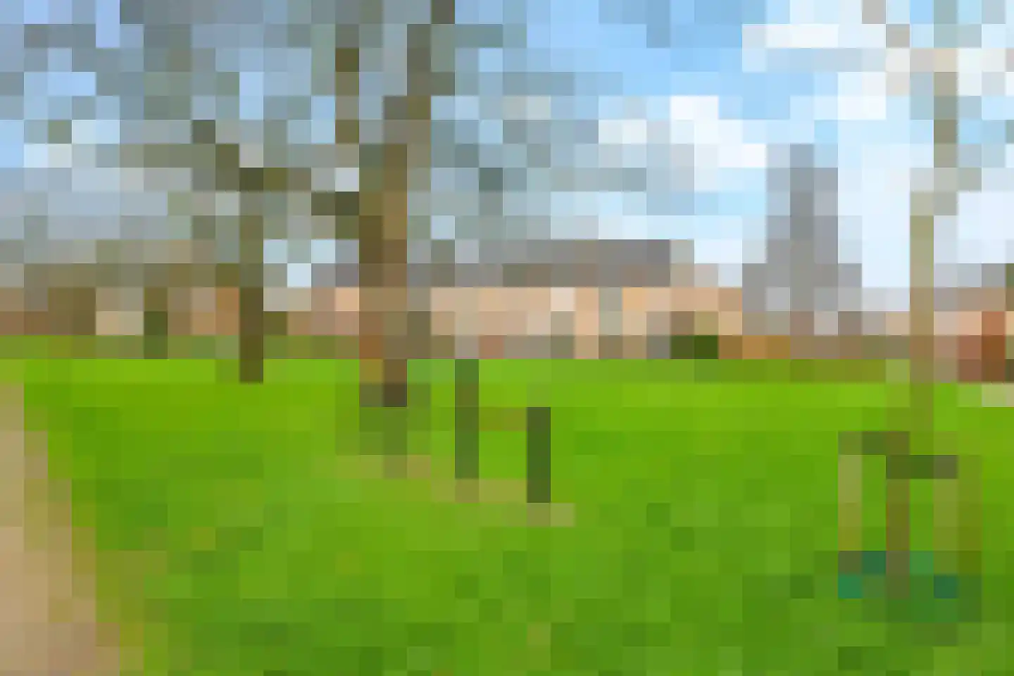 Franciscusstraat 85 Bemmel thumbnail 81