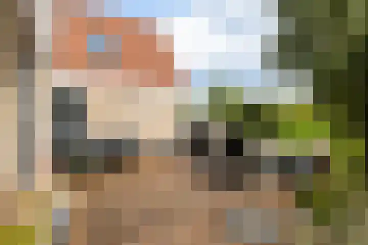 Franckenastate 2 Leeuwarden thumbnail 31