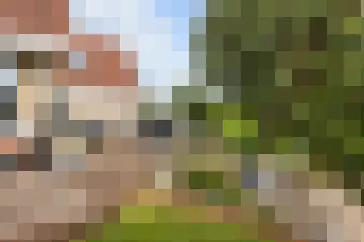 Franckenastate 2 Leeuwarden thumbnail 34