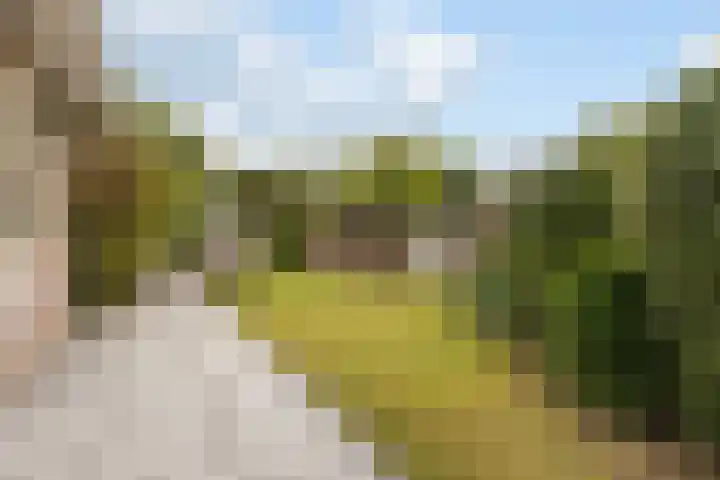 Franckenastate 2 Leeuwarden thumbnail 36