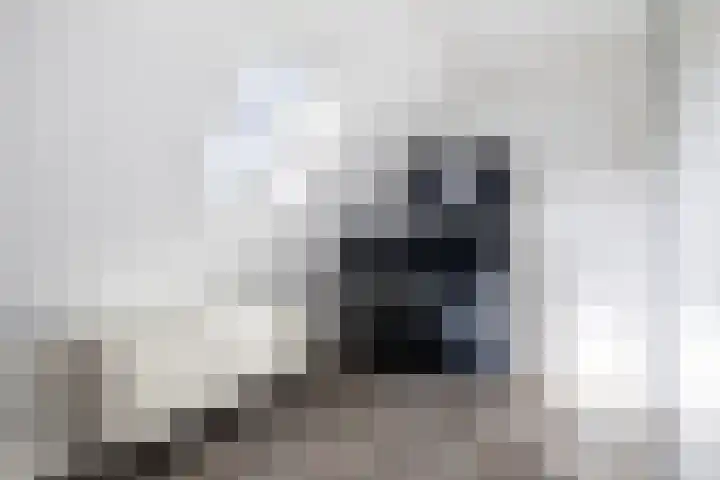 Franckenastate 2 Leeuwarden thumbnail 45