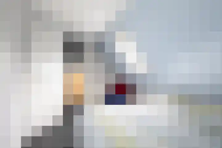Franckenastate 2 Leeuwarden thumbnail 47