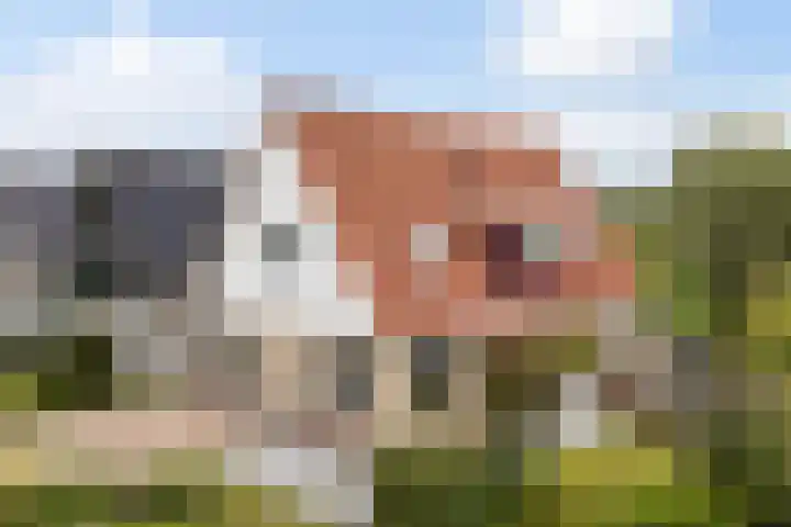 Franckenastate 2 Leeuwarden thumbnail 50