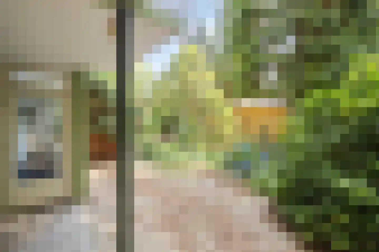Franckstraat 1 1 Arnhem thumbnail 38