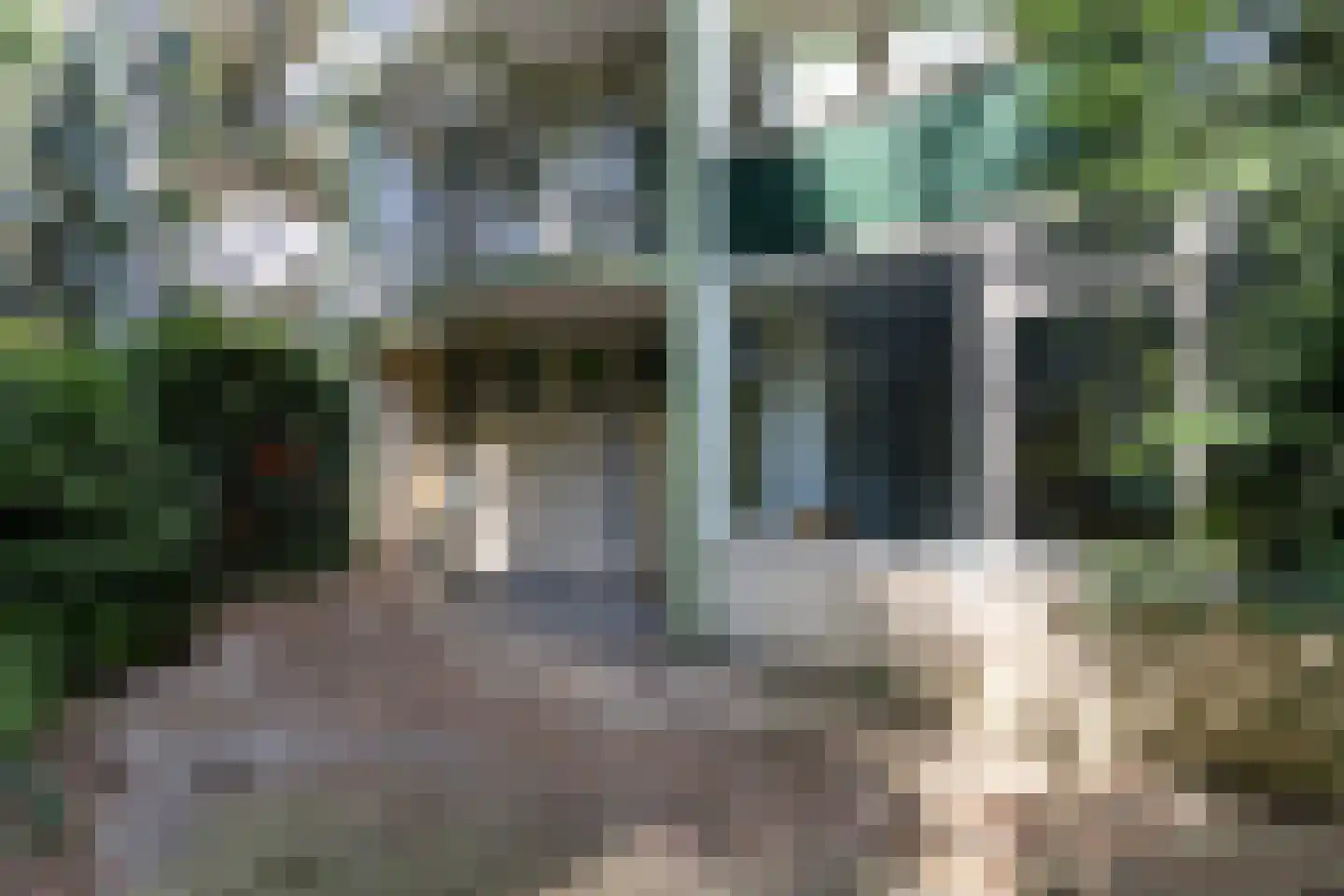 Franckstraat 1 1 Arnhem thumbnail 39