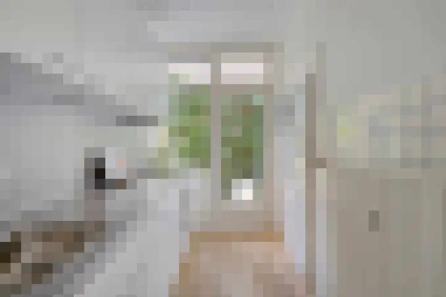Franckstraat 1 1 Arnhem thumbnail 4