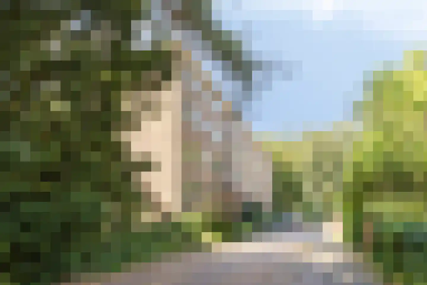 Franckstraat 1 1 Arnhem thumbnail 45