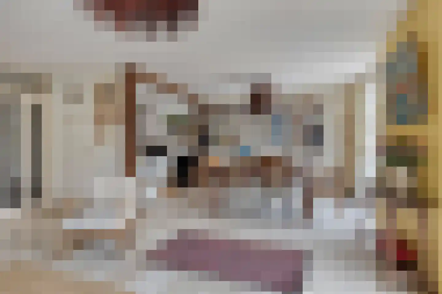 Franckstraat 18 Capelle aan den IJssel thumbnail 11