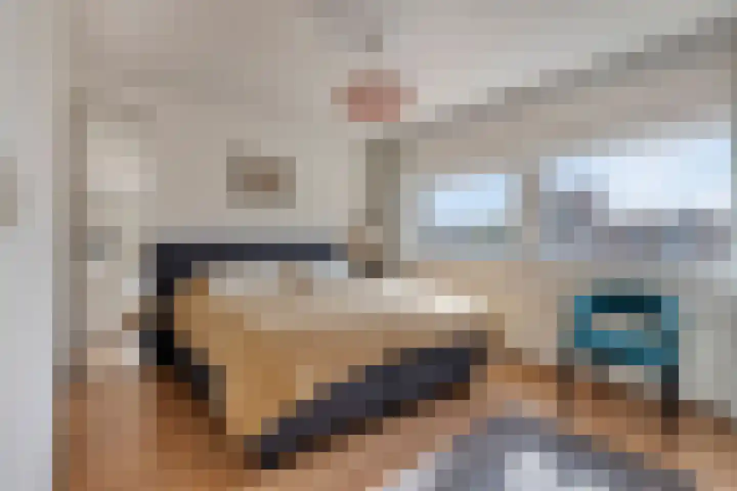 Franckstraat 18 Capelle aan den IJssel thumbnail 17
