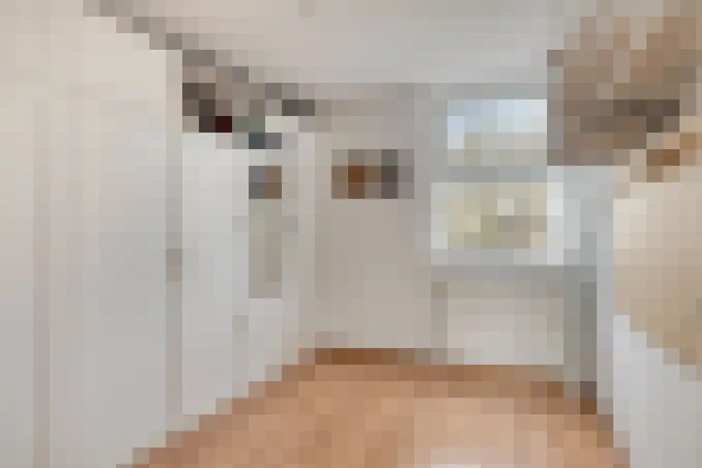 Franckstraat 18 Capelle aan den IJssel thumbnail 22