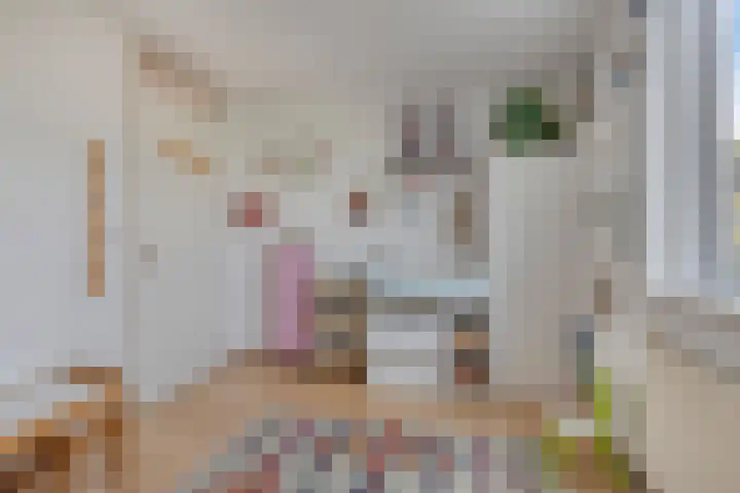 Franckstraat 18 Capelle aan den IJssel thumbnail 25