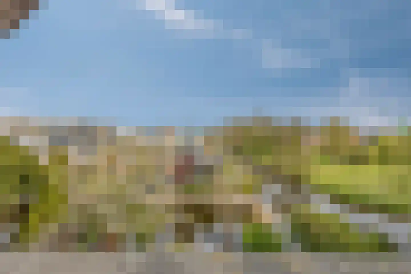 Franckstraat 18 Capelle aan den IJssel thumbnail 32