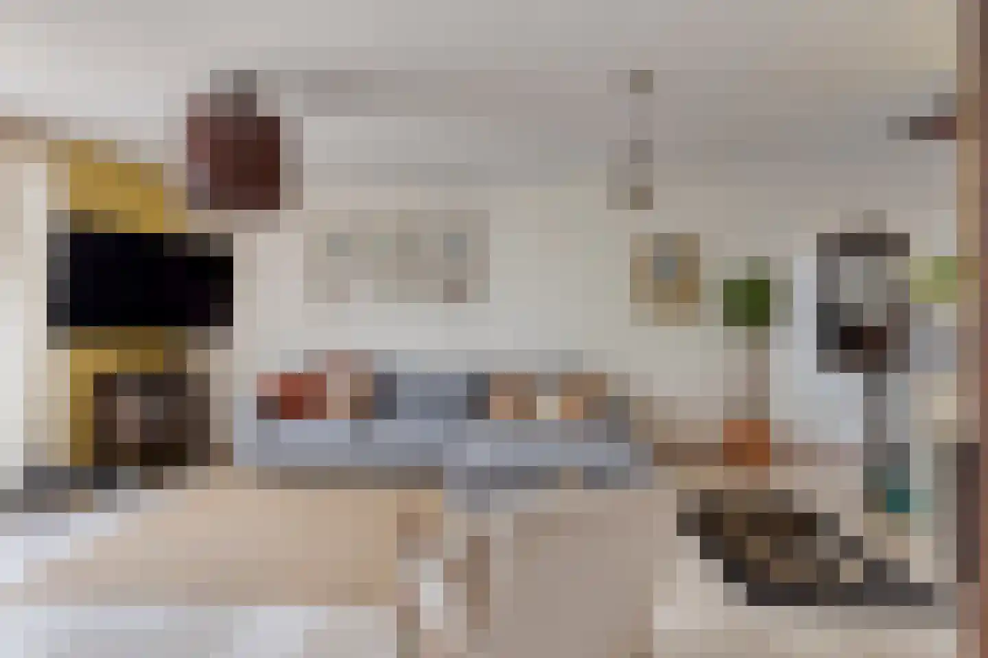 Franckstraat 18 Capelle aan den IJssel thumbnail 4