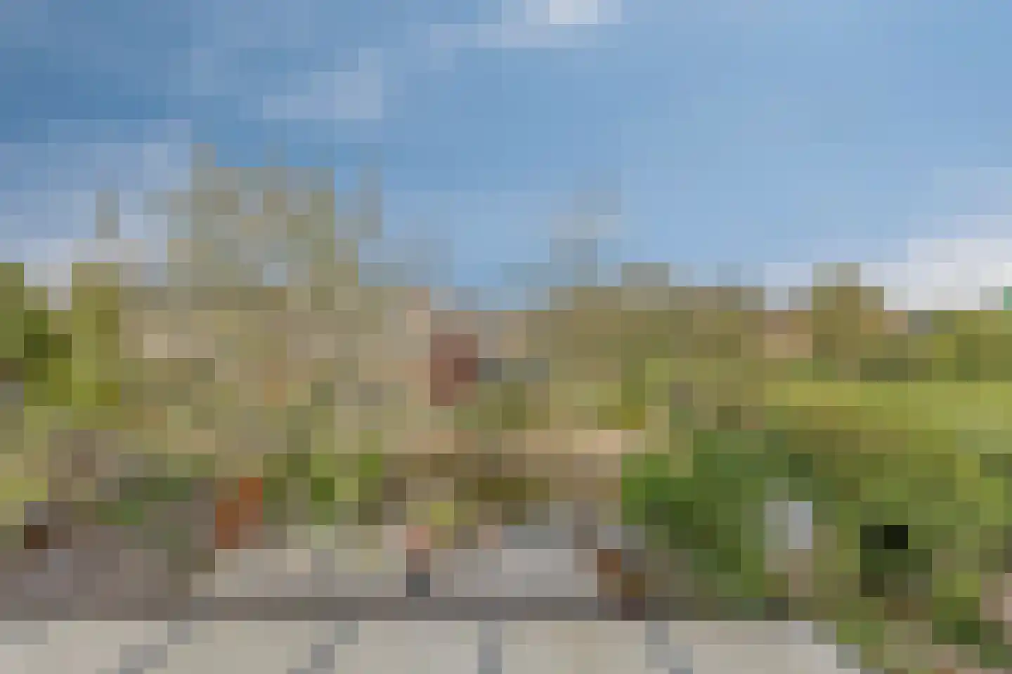 Franckstraat 18 Capelle aan den IJssel thumbnail 40
