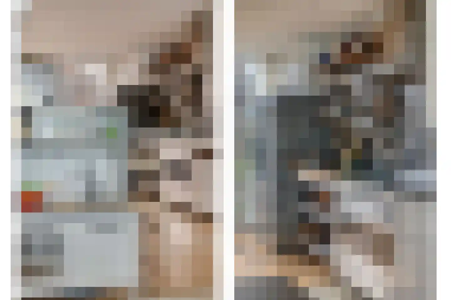 Franckstraat 18 Capelle aan den IJssel thumbnail 6