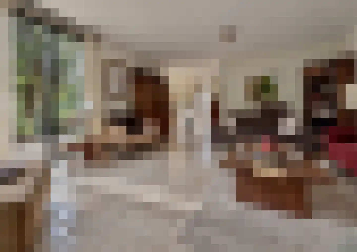 Franckstraat 31 Capelle aan den IJssel thumbnail 11