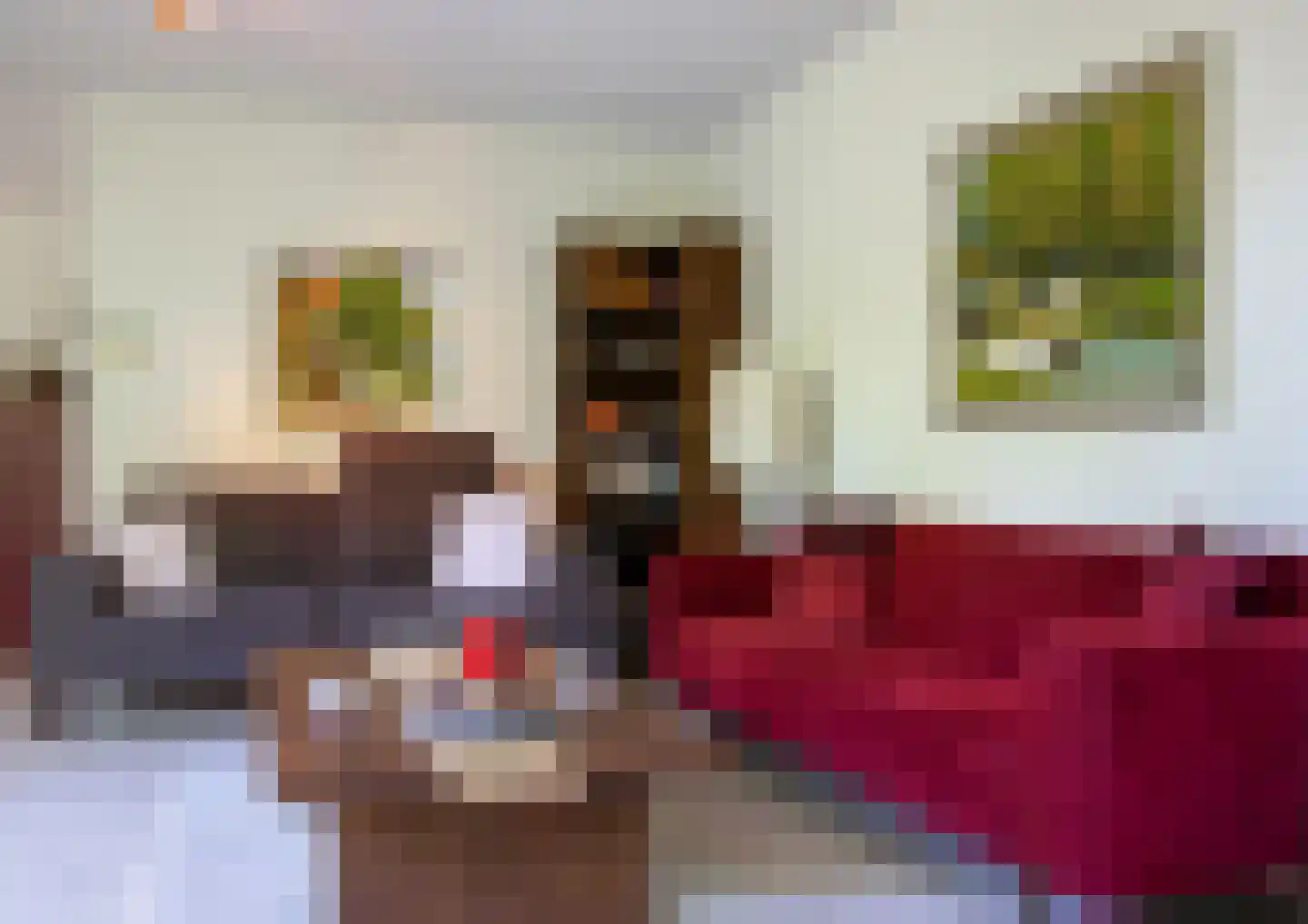 Franckstraat 31 Capelle aan den IJssel thumbnail 13