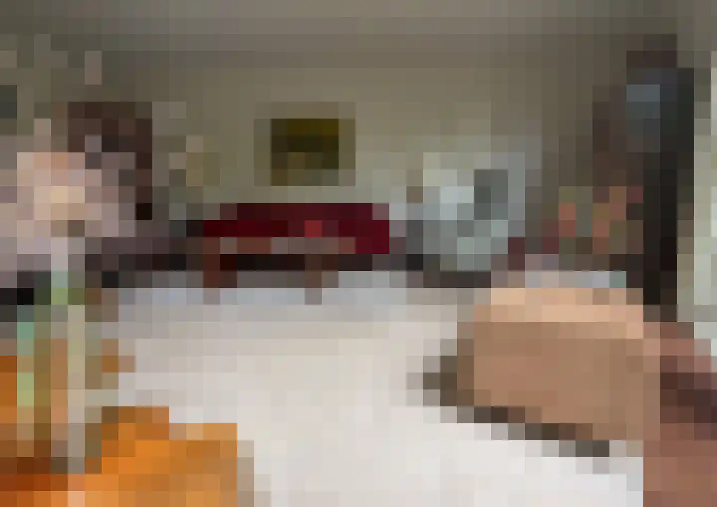 Franckstraat 31 Capelle aan den IJssel thumbnail 17