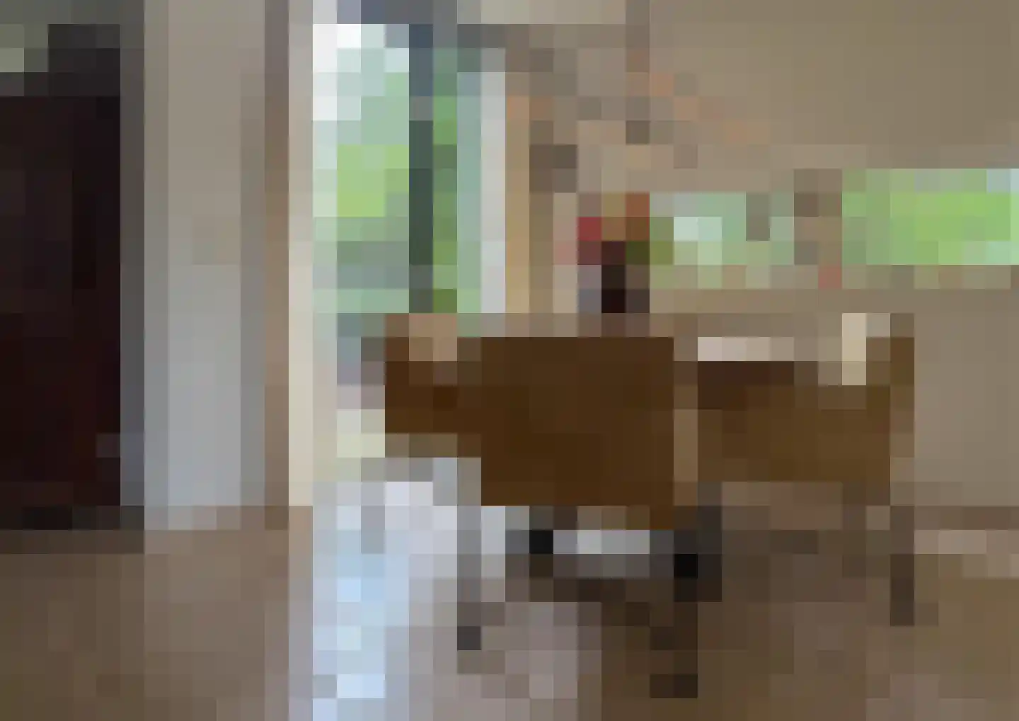 Franckstraat 31 Capelle aan den IJssel thumbnail 20