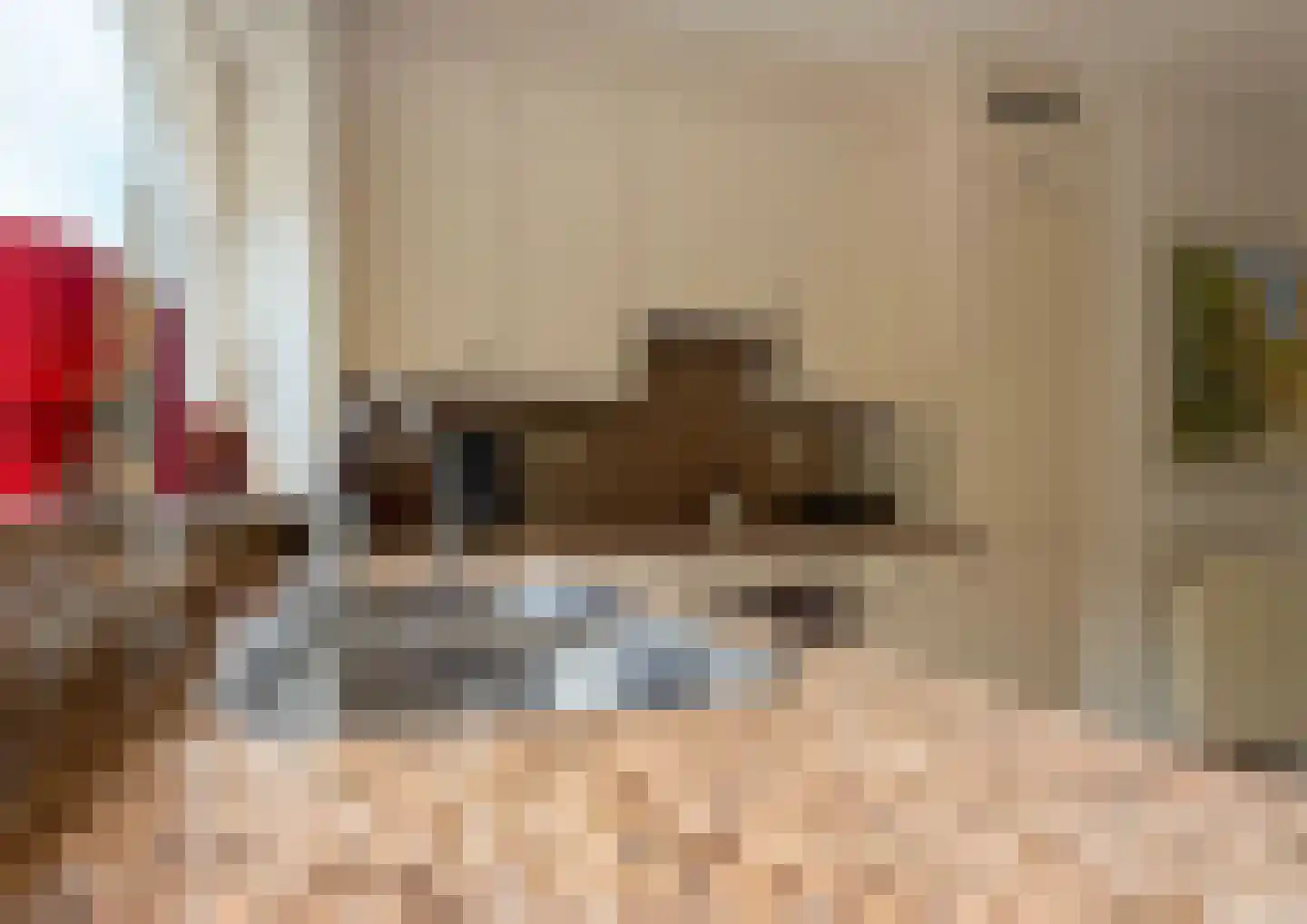 Franckstraat 31 Capelle aan den IJssel thumbnail 25