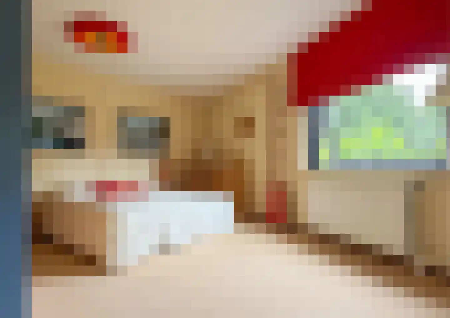 Franckstraat 31 Capelle aan den IJssel thumbnail 29