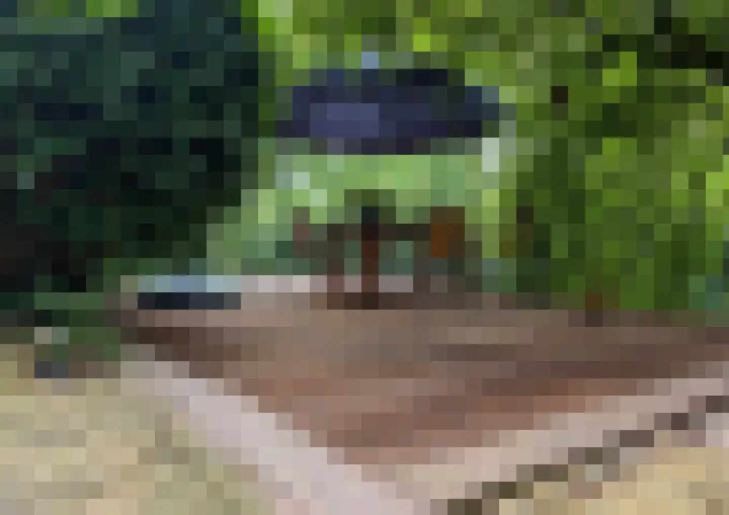 Franckstraat 31 Capelle aan den IJssel thumbnail 37