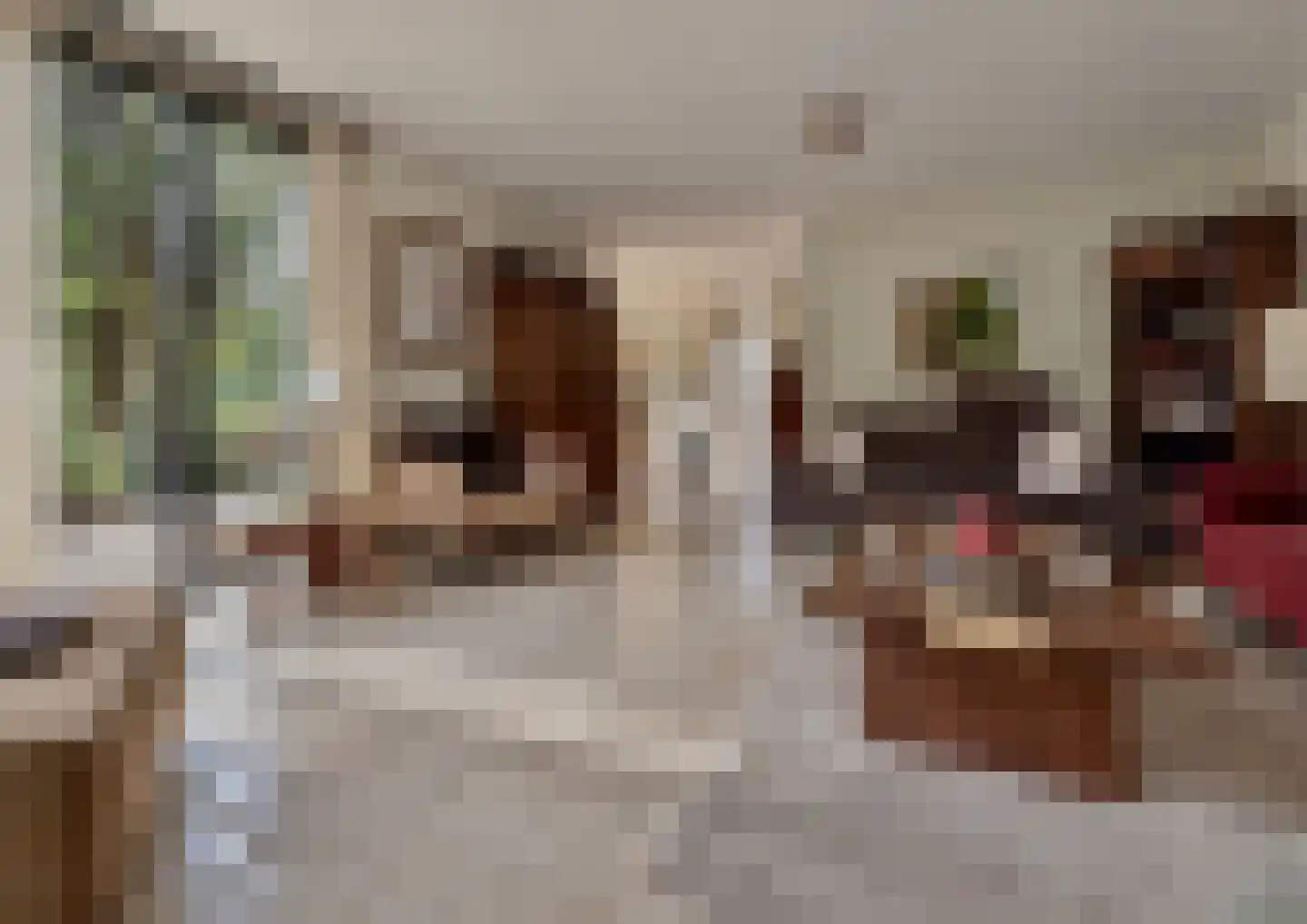 Franckstraat 31 Capelle aan den IJssel thumbnail 4