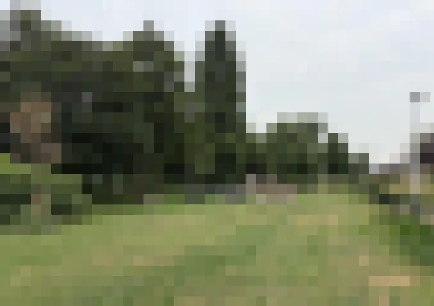 Franckstraat 31 Capelle aan den IJssel thumbnail 42