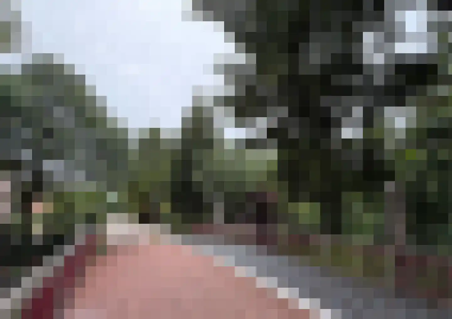 Franckstraat 31 Capelle aan den IJssel thumbnail 44