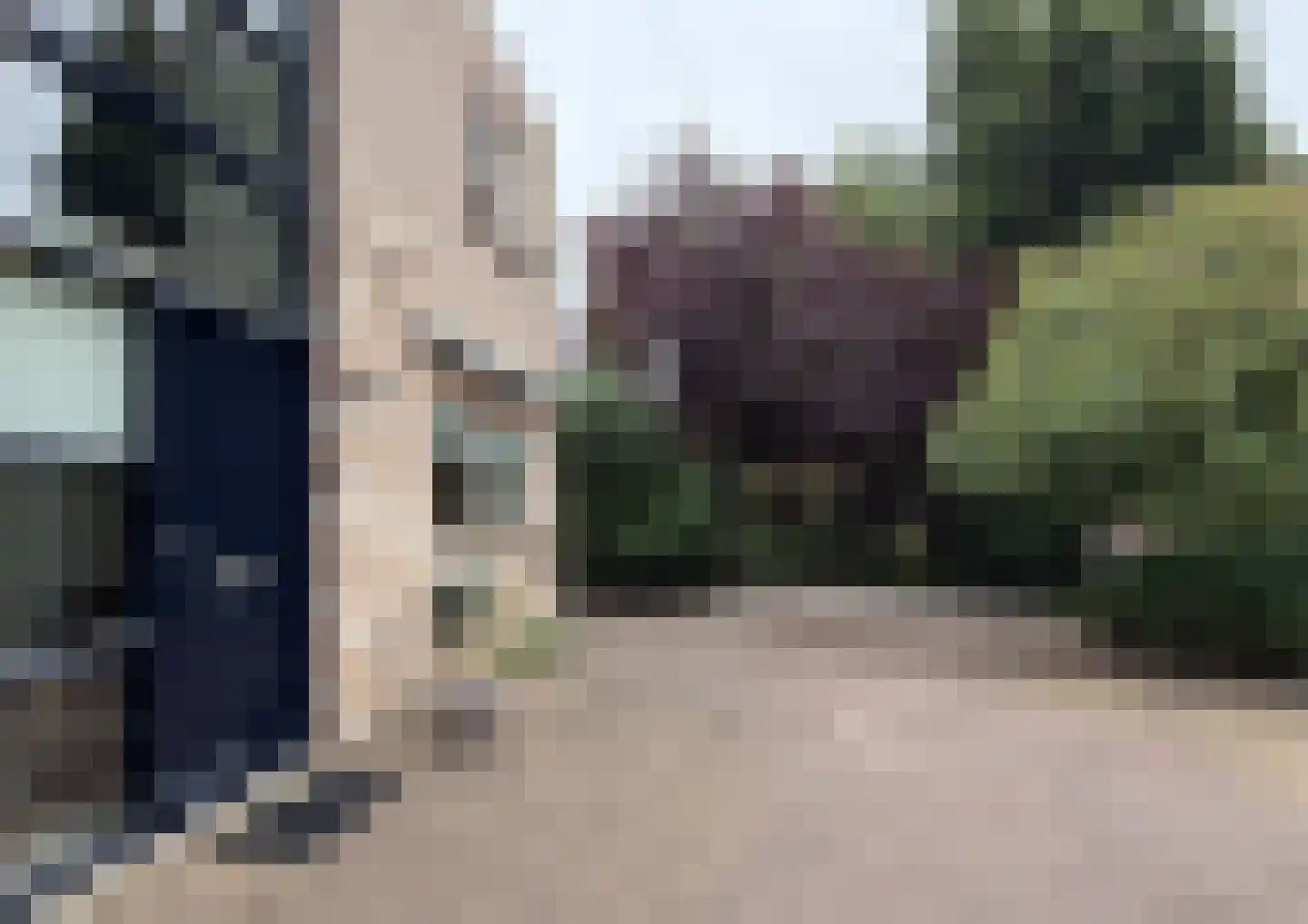 Franckstraat 31 Capelle aan den IJssel thumbnail 7