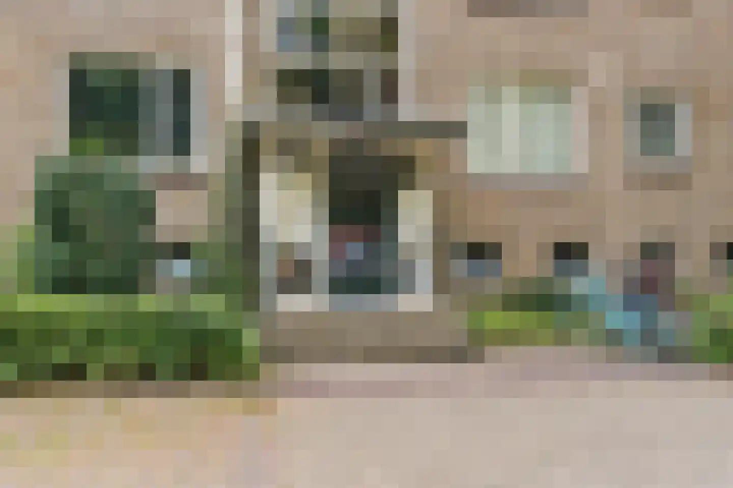 Franckstraat 7 4 Arnhem thumbnail 26