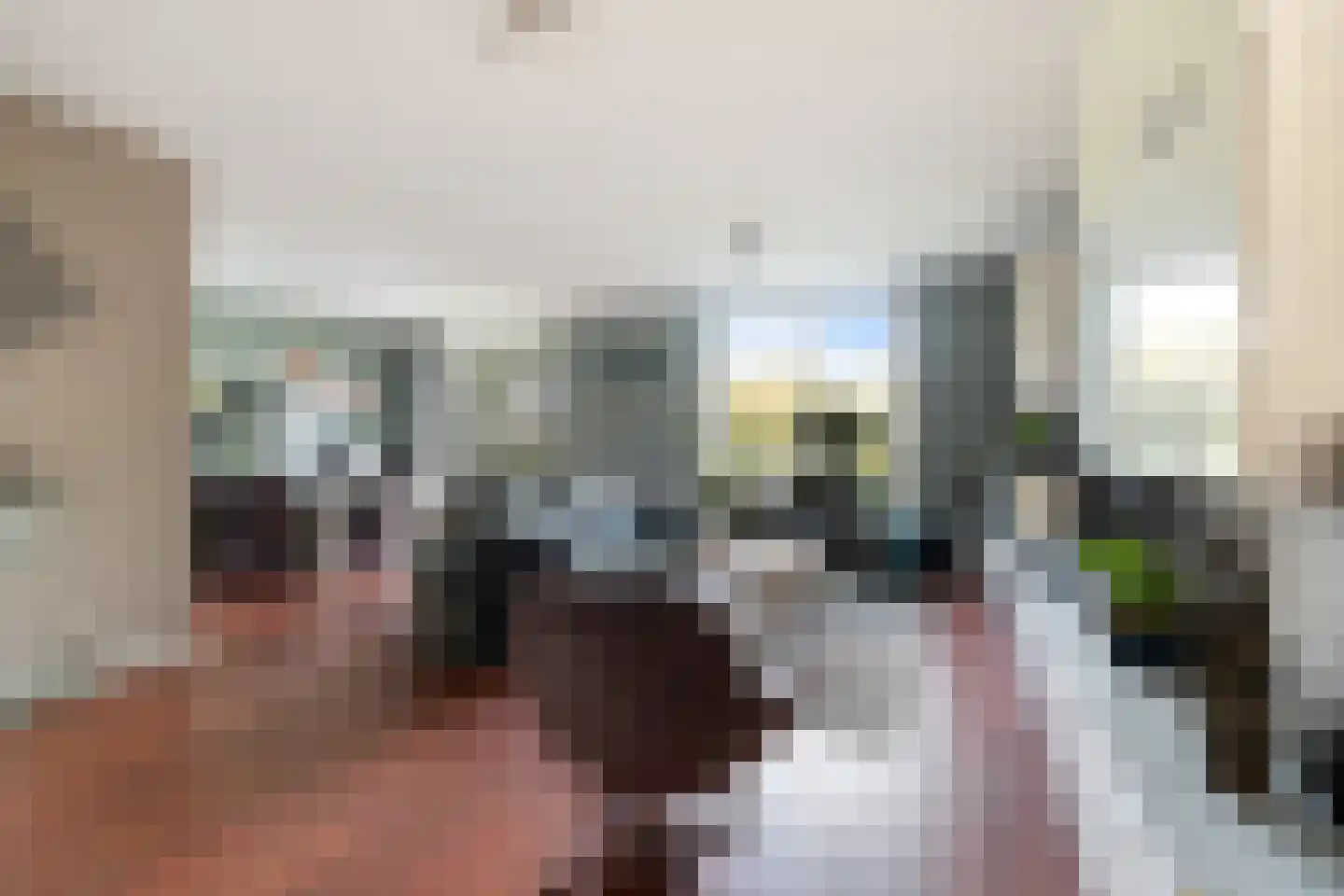 Franckstraat 8 Capelle aan den IJssel thumbnail 13