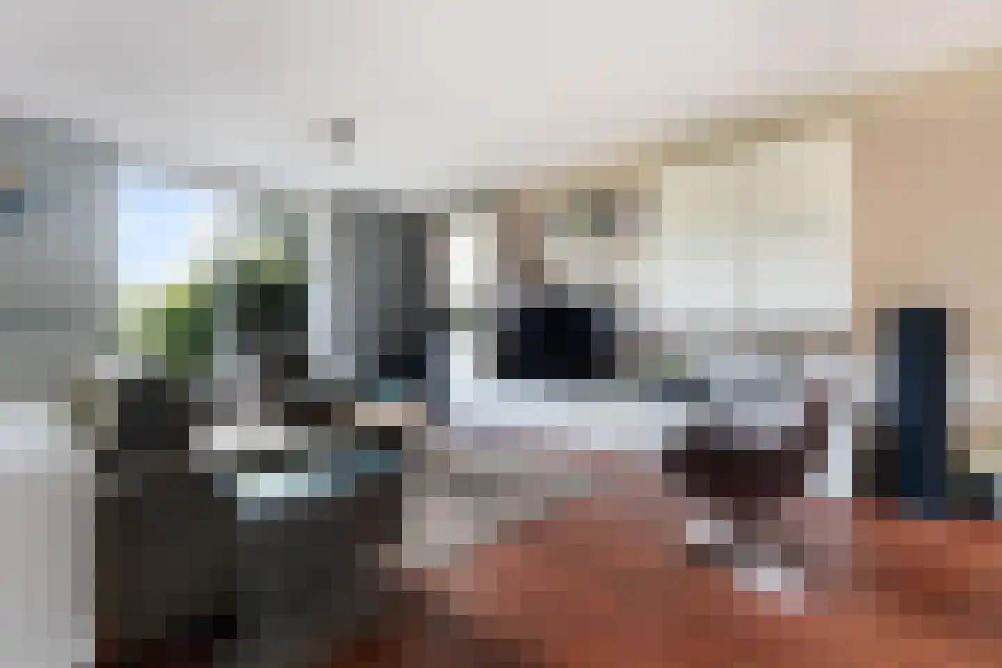 Franckstraat 8 Capelle aan den IJssel thumbnail 14