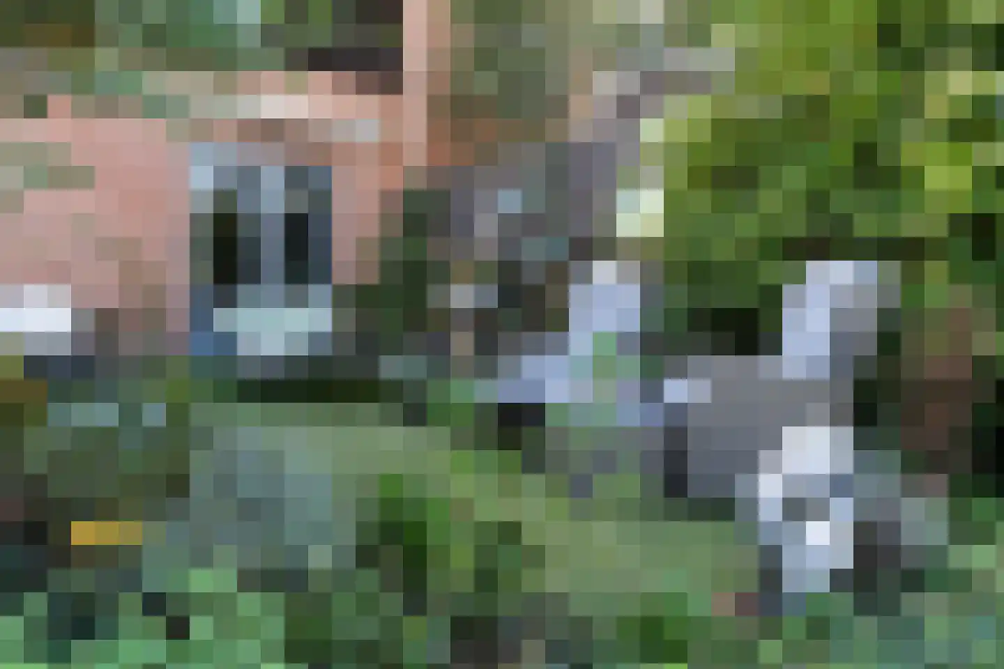 Franckstraat 8 Capelle aan den IJssel thumbnail 21
