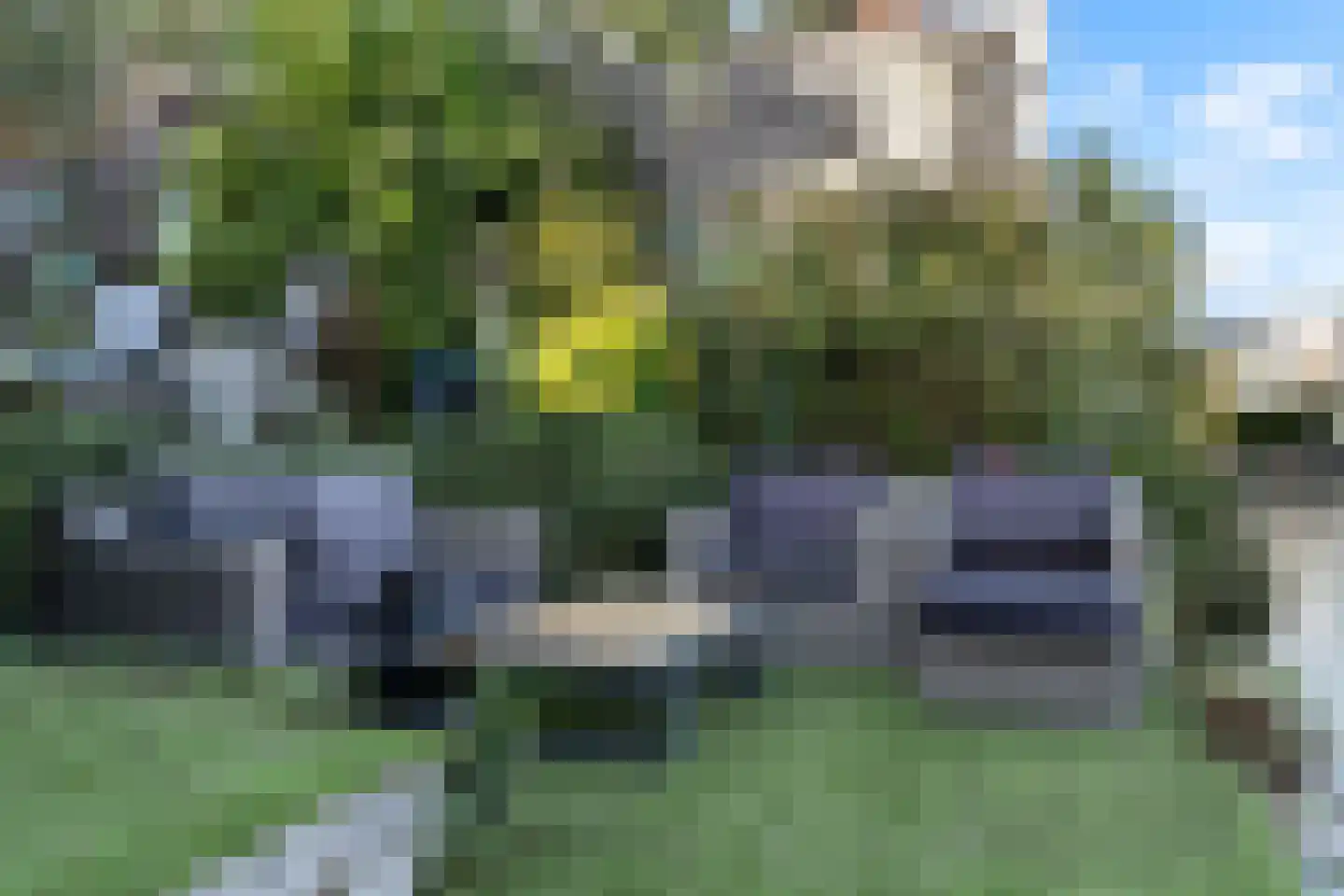 Franckstraat 8 Capelle aan den IJssel thumbnail 23