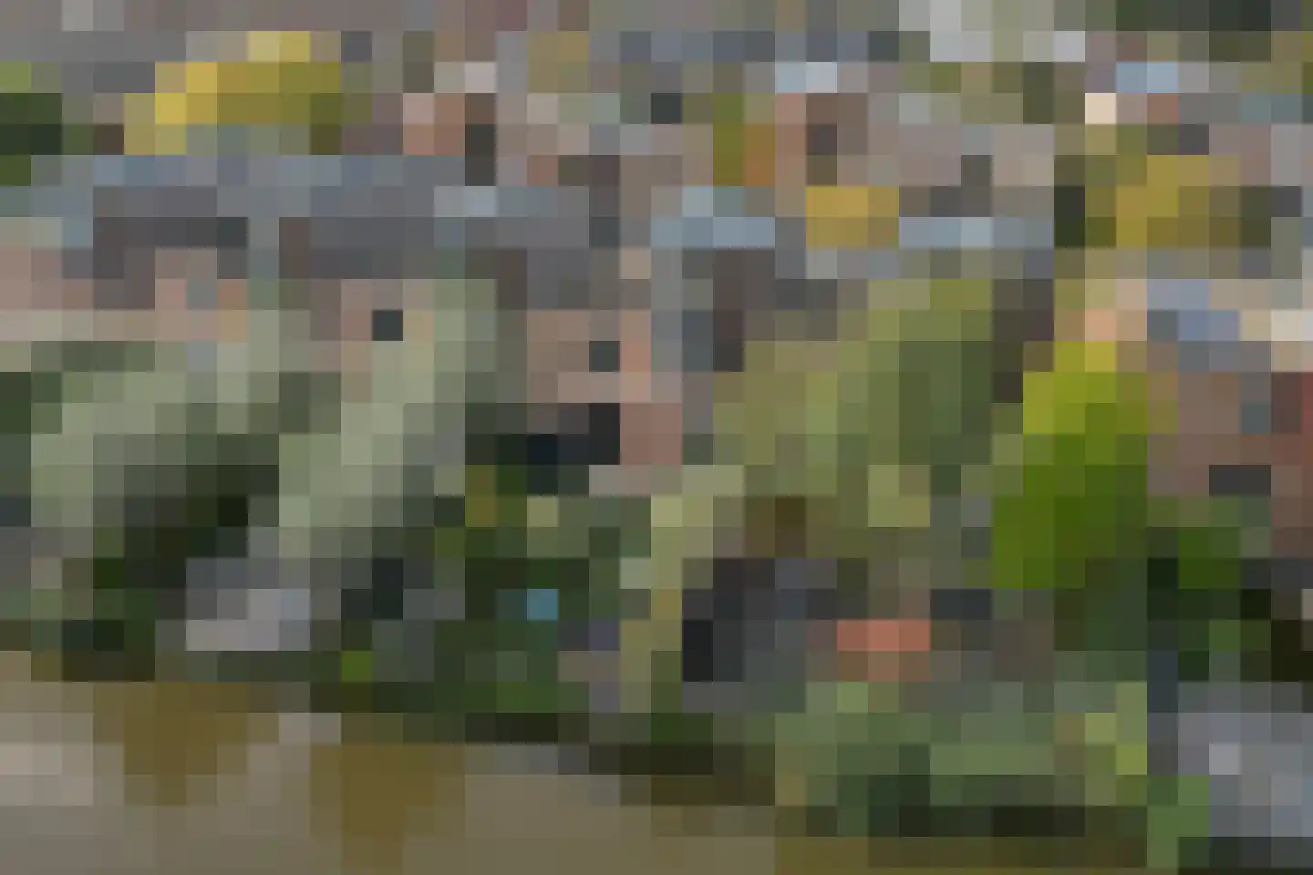 Franckstraat 8 Capelle aan den IJssel thumbnail 24