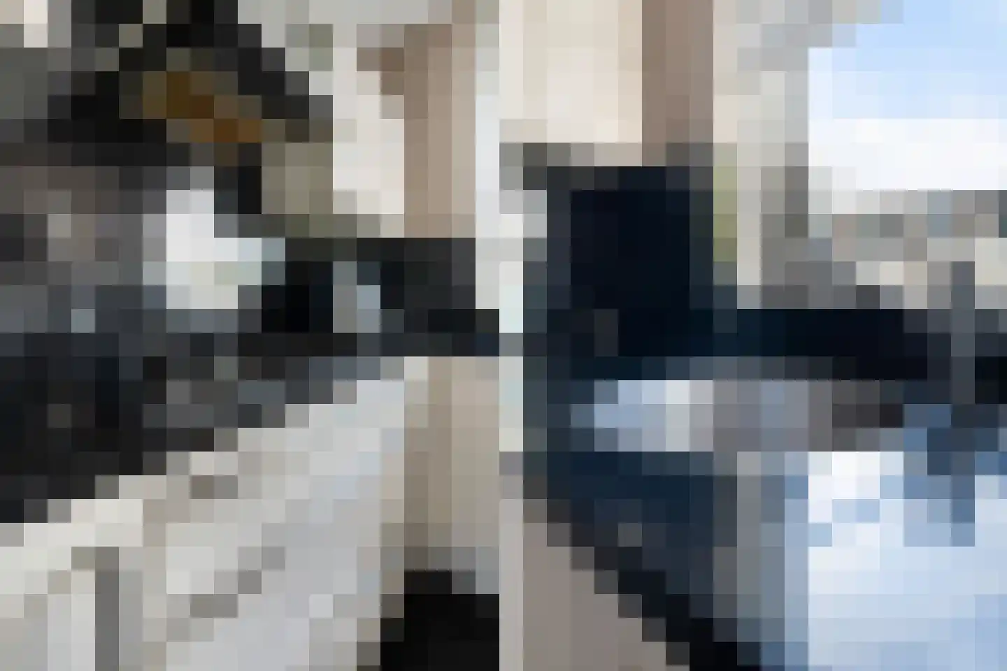 Franckstraat 8 Capelle aan den IJssel thumbnail 29