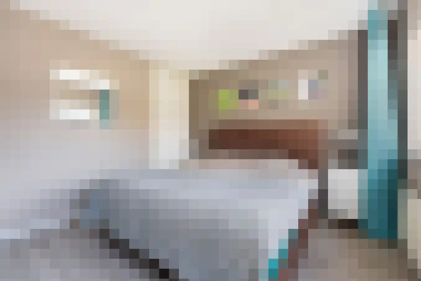 Franckstraat 8 Capelle aan den IJssel thumbnail 34