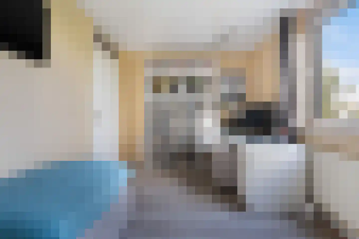 Franckstraat 8 Capelle aan den IJssel thumbnail 38