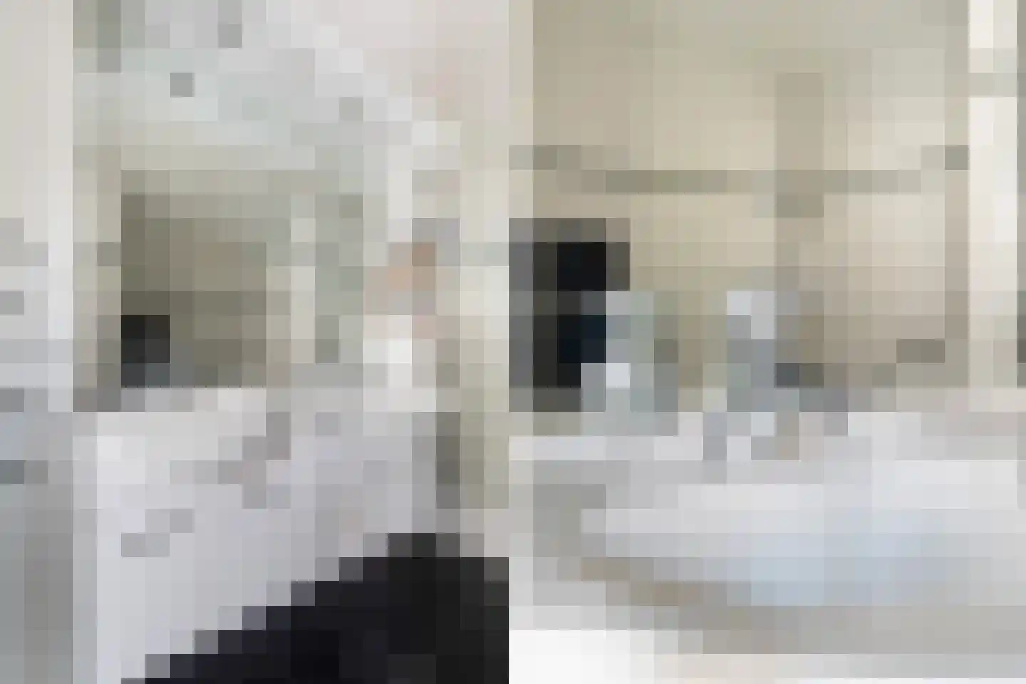 Franckstraat 8 Capelle aan den IJssel thumbnail 42