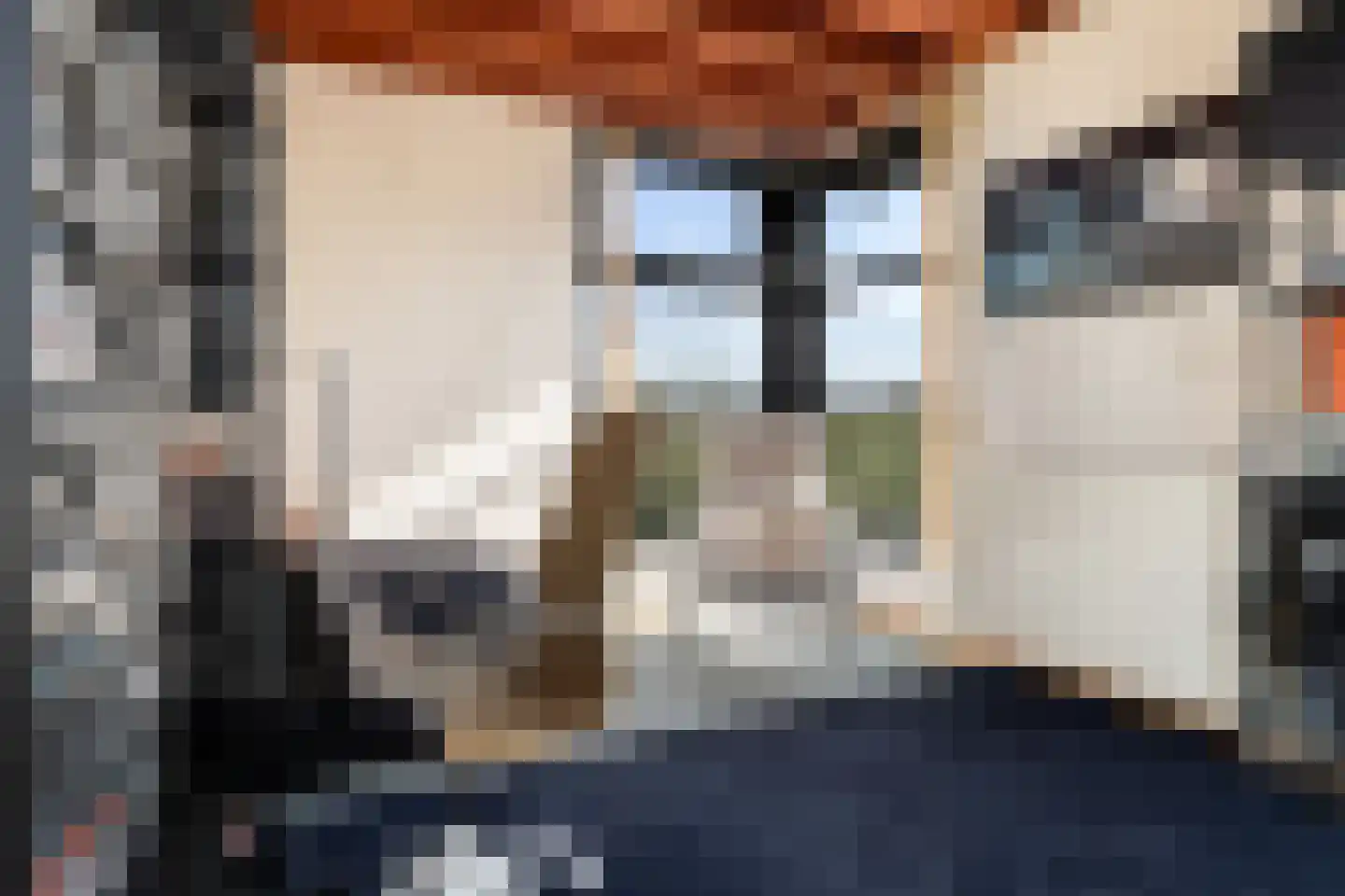 Franckstraat 8 Capelle aan den IJssel thumbnail 47