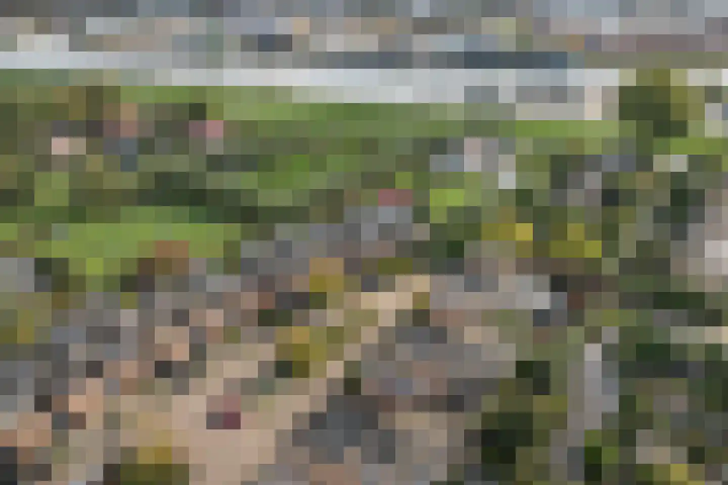 Franckstraat 8 Capelle aan den IJssel thumbnail 5