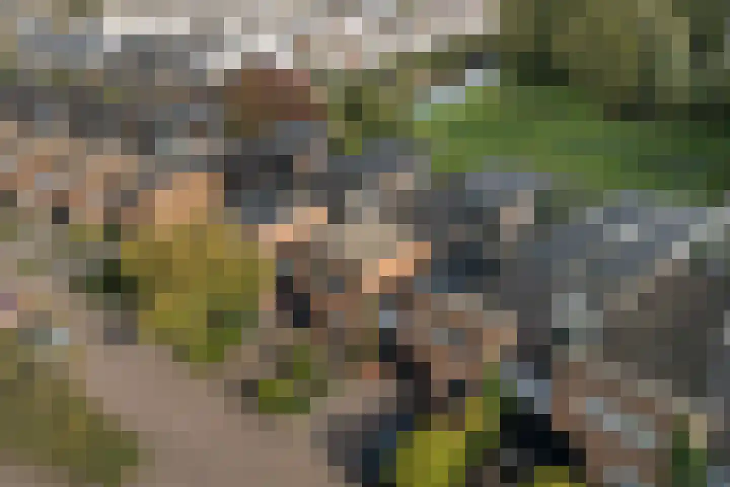 Franckstraat 8 Capelle aan den IJssel thumbnail 53