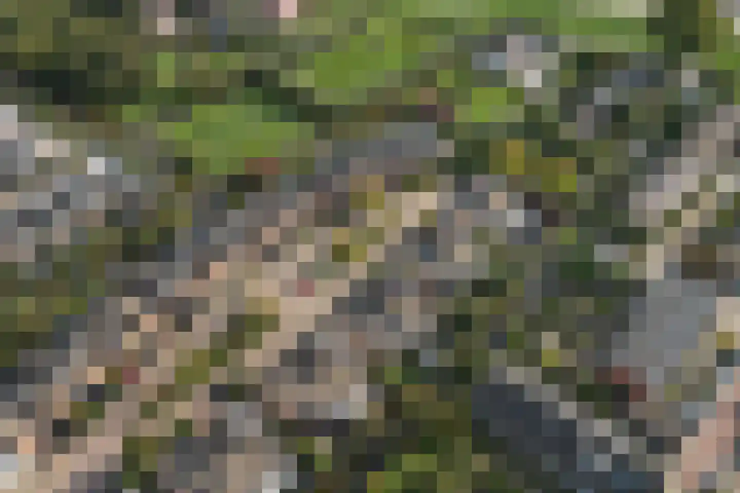 Franckstraat 8 Capelle aan den IJssel thumbnail 54